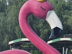-莲花池公园