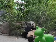 -临沂动植物园