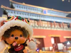 -东华门大街小区