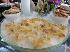 -石岐乳鸽村(南海第三分店)