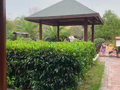 -咸宁万豪温泉谷度假区