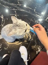 -TOP HAIR SALON