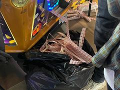 -大玩家(青岛CBD延吉路万达店)