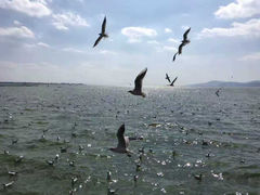 -滇池海埂公园