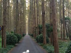 IMG_4760-上海怡沁园度假酒店