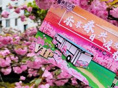-高东镇樱花园