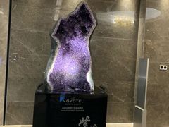 -玄武苏宁诺富特酒店·紫金轩中餐厅