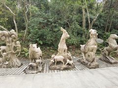 -深圳仙湖植物园