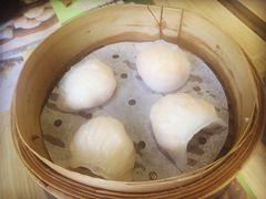 添好运点心专门店(北角店)-添好运点心专门店(北角店)