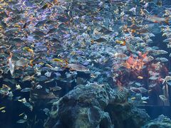 -海合安成都极地海洋公园