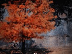 -杭州野生动物世界