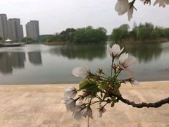 -新江湾城公园