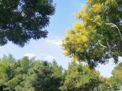 -郑州植物园