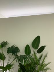 -HEYAN荷妍专业脱毛连锁机构