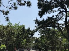 -青岛第三海水浴场