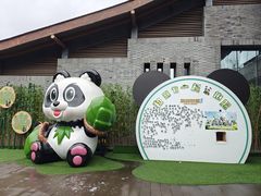 -都江堰中华大熊猫苑
