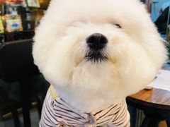 -PETKIT小佩宠物(古北店)