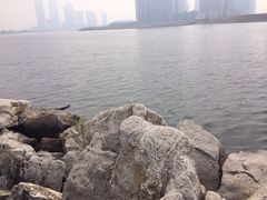 -海河外滩公园