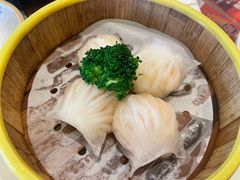 水晶鲜虾饺-香港新曜记茶餐厅(星耀城店)