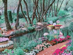 -上海共青森林公园