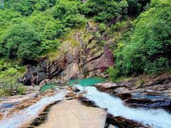 -广州白江湖森林公园