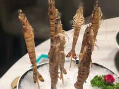 斑节虾-新一哥粤菜火锅(瑞金店)