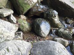 -清源山风景区