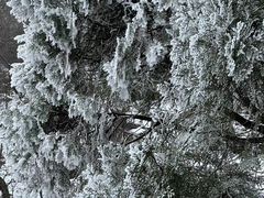 -少华山国家森林公园