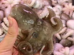 -老字号蛇口德记烧腊饭店·海鲜加工