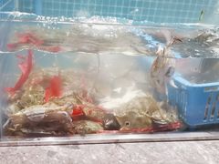 -曼格活海鲜·牛排自助(光明蓝鲸店)