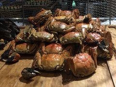 -常州富力喜来登酒店 Feast盛宴标帜西餐厅(新北万达广场店)