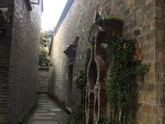 -两棵枇杷树