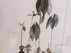 -谷隆画舍·国画书法素描彩铅水彩