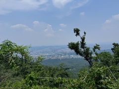 -紫金山山顶公园