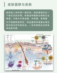 点击看大图 -玛莲朵·海菲秀冰珀科