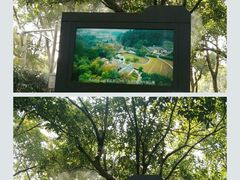 -韶山毛泽东同志故居