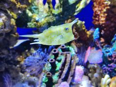 -绿色星球动物主题公园