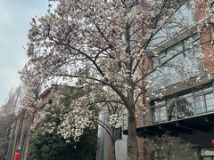-南京晨光1865创意产业园