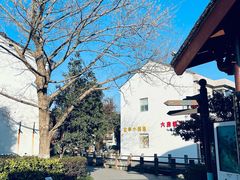 -鸣鹤古镇
