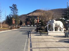 -金石唐风国际温泉会馆