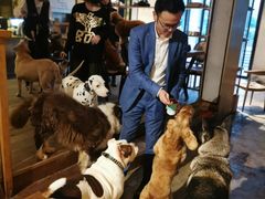 -萌喵咖啡屋(人民东路4号口M16商铺店)
