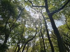 -绮园景区