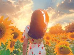 -汉长安城未央宫国家考古遗址公园