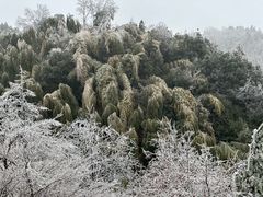 -江南天池高山汤泉城