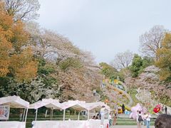 -杭州少年儿童公园