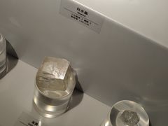 -正佳自然科学博物馆