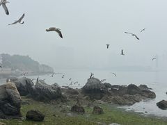 -黑石礁公园