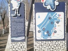 -丁香湖公园