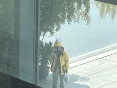 -金陵图书馆