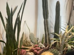 -J Create城市露营咖啡·简餐·宠物(上海动物园店)